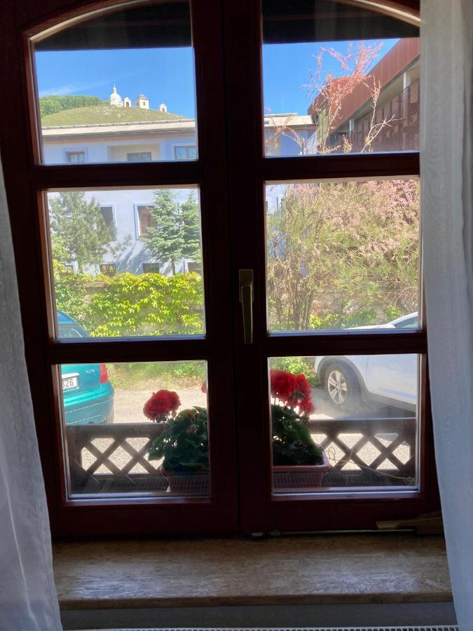 Guesthouse Mikulas Mikulov - Free Parking In The City Center エクステリア 写真
