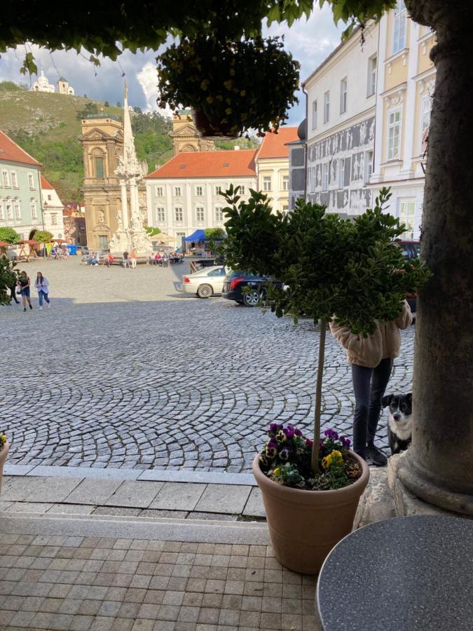 Guesthouse Mikulas Mikulov - Free Parking In The City Center エクステリア 写真