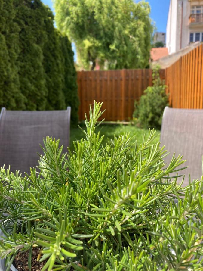 Guesthouse Mikulas Mikulov - Free Parking In The City Center エクステリア 写真