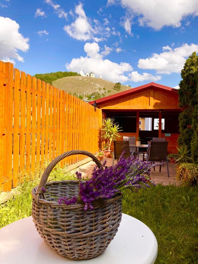 Guesthouse Mikulas Mikulov - Free Parking In The City Center エクステリア 写真