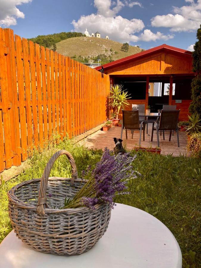 Guesthouse Mikulas Mikulov - Free Parking In The City Center エクステリア 写真