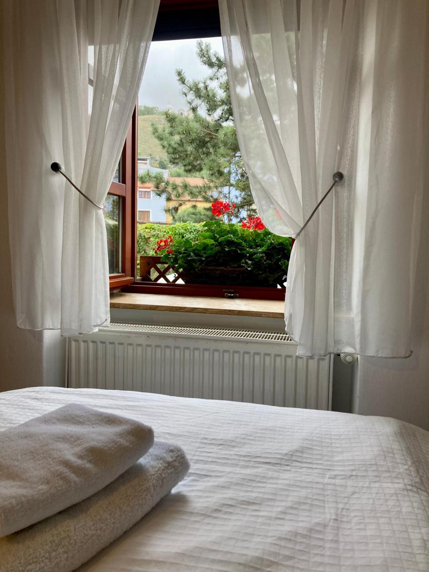 Guesthouse Mikulas Mikulov - Free Parking In The City Center エクステリア 写真